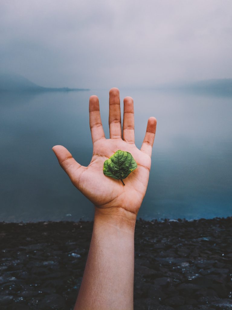 Photo of a left hand with light brown skin holding a small green leaf. Beyond the hand are rocky stones of a lakeside shore. Beyond that is a calm grey lake with fog obscuring the horizon. Photo credit to Bhai Rankar of Unsplash, shared with a creative commons license: https://unsplash.com/photos/-AqJCy1-Nrc